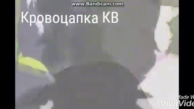 Коты воители Бич осень смотреть онлайн