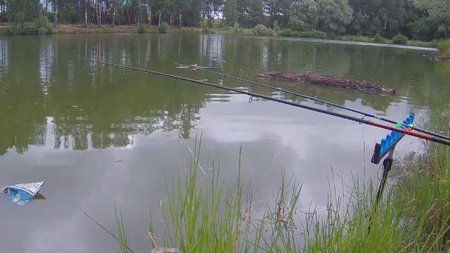 Теория вероятностей смотреть онлайн