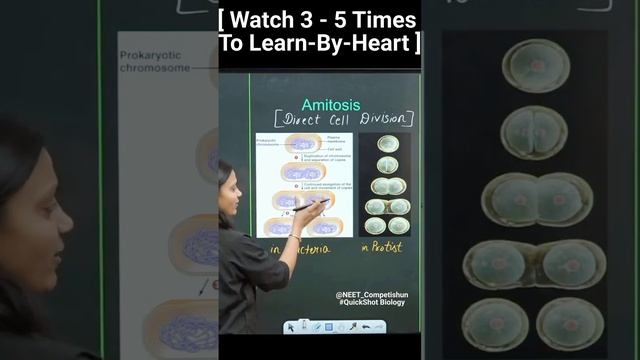 " AMITOSIS [ Direct Cell Division ] " With QuickShot Biology | #Poonam Ma'am |#biology #neet #short смотреть онлайн