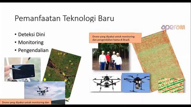50 Tahun PEI: Pengelolaan Serangga Hama pada Hutan Tanaman yang Berkesinambungan смотреть онлайн