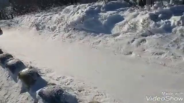 Влог: едим на БСХТ и катаемся на горках . Алина и Зарина смотреть онлайн
