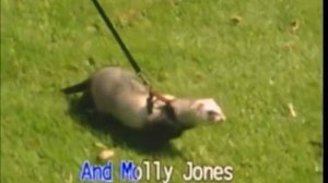 (USA Karaoke) Obladi Oblada - The Beatles