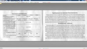 Инструкция для Striuer PW320