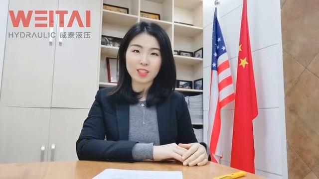Jane talks about Tie-Rod Hydraulic Cylinders | Weitai Hydraulic China | OEM/ODM for Excavator Parts смотреть онлайн