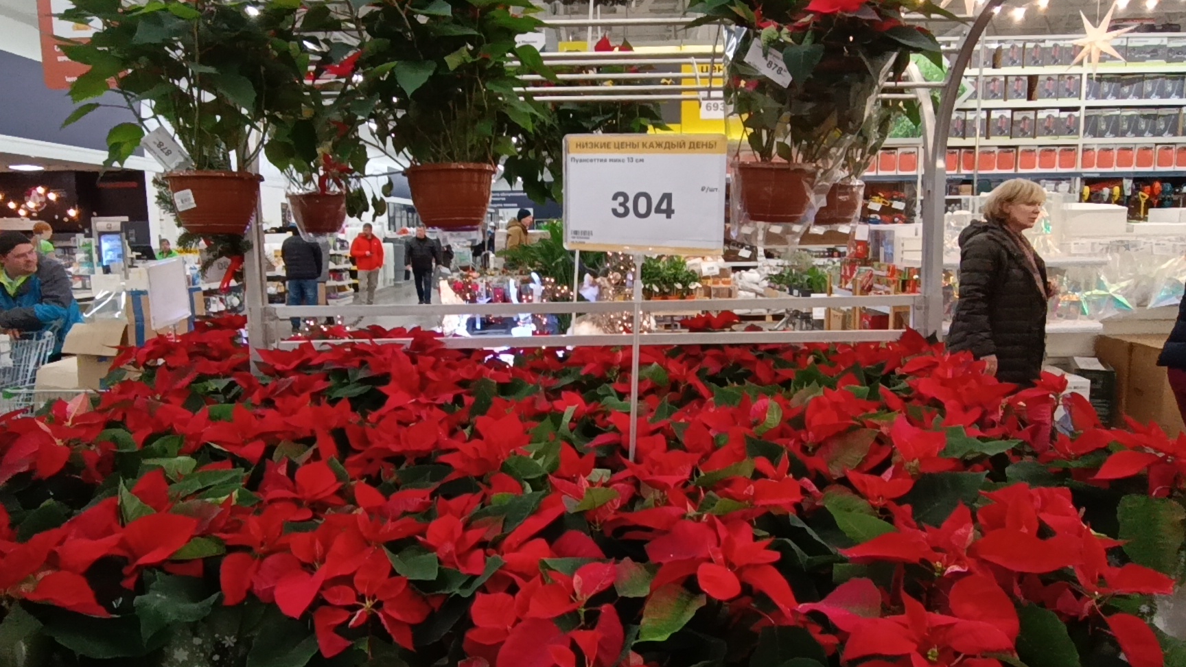 Вечерний Псков.Обзор магазина Леруа Мерлен г.Псков.Псковская жизнь