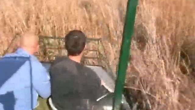 Движение по камышу смотреть онлайн