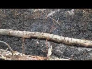 Последствия пожара на Тополинке