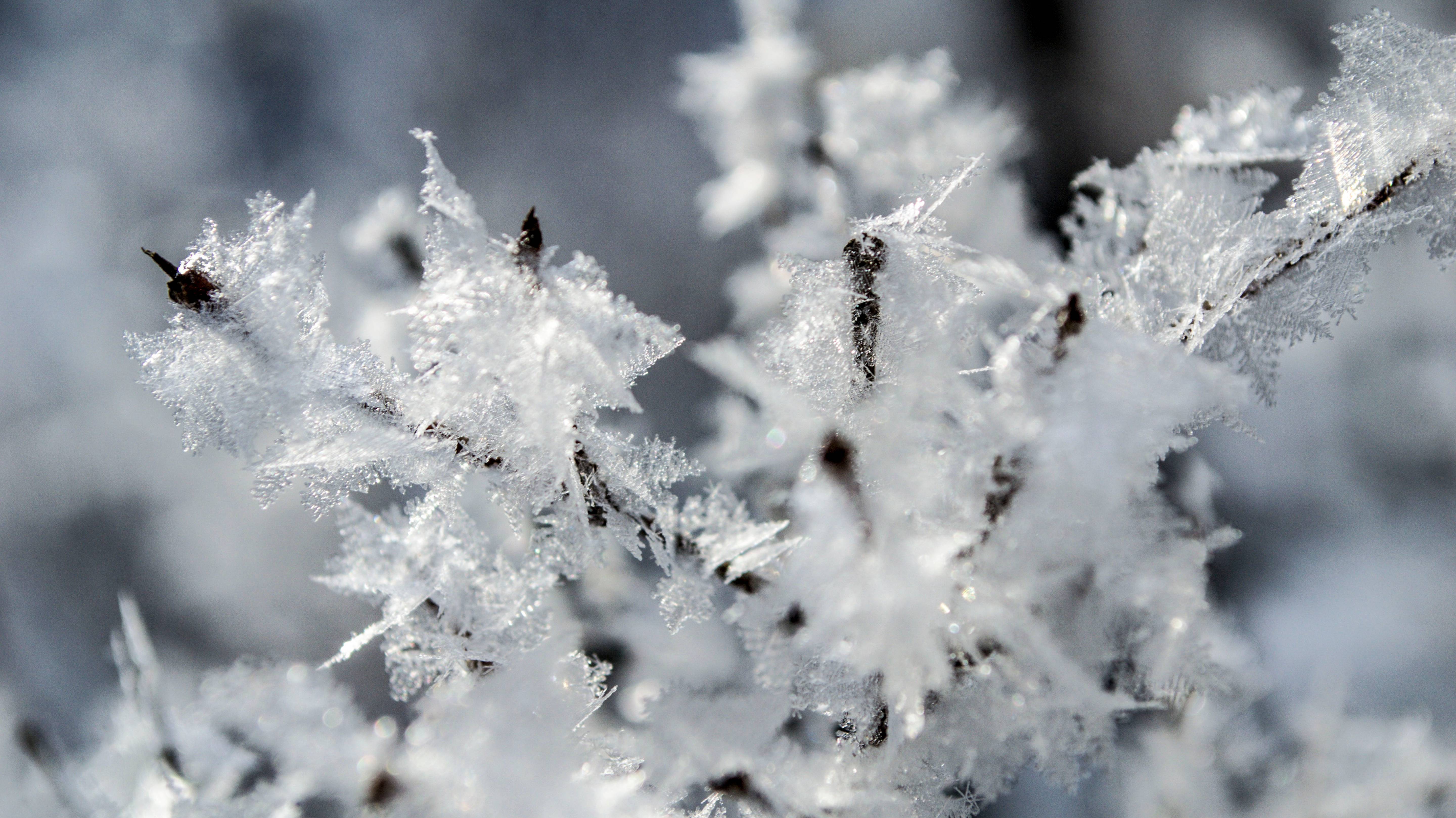 С ПЕРВЫМ ДНЁМ ЗИМЫ смотреть онлайн