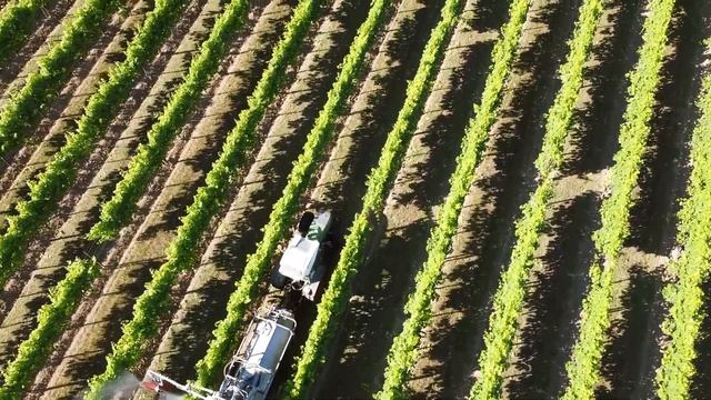Trattamento vigneto 2022 | Atomizzatori Friuli + Fendt 211p смотреть онлайн