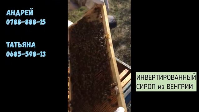 Весенняя подкормка особенно важна при понижении температуры смотреть онлайн