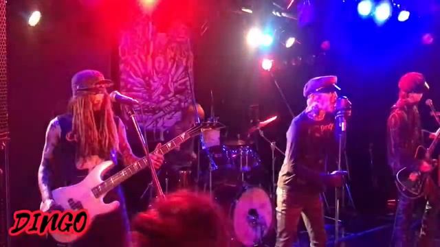DINGO at 横浜泡祭｢ハマ泡｣ F.A.D YOKOHAMA 18th JUNE 2022 смотреть онлайн