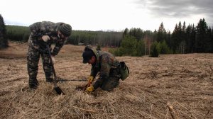 Находки здесь ещё остались... #501