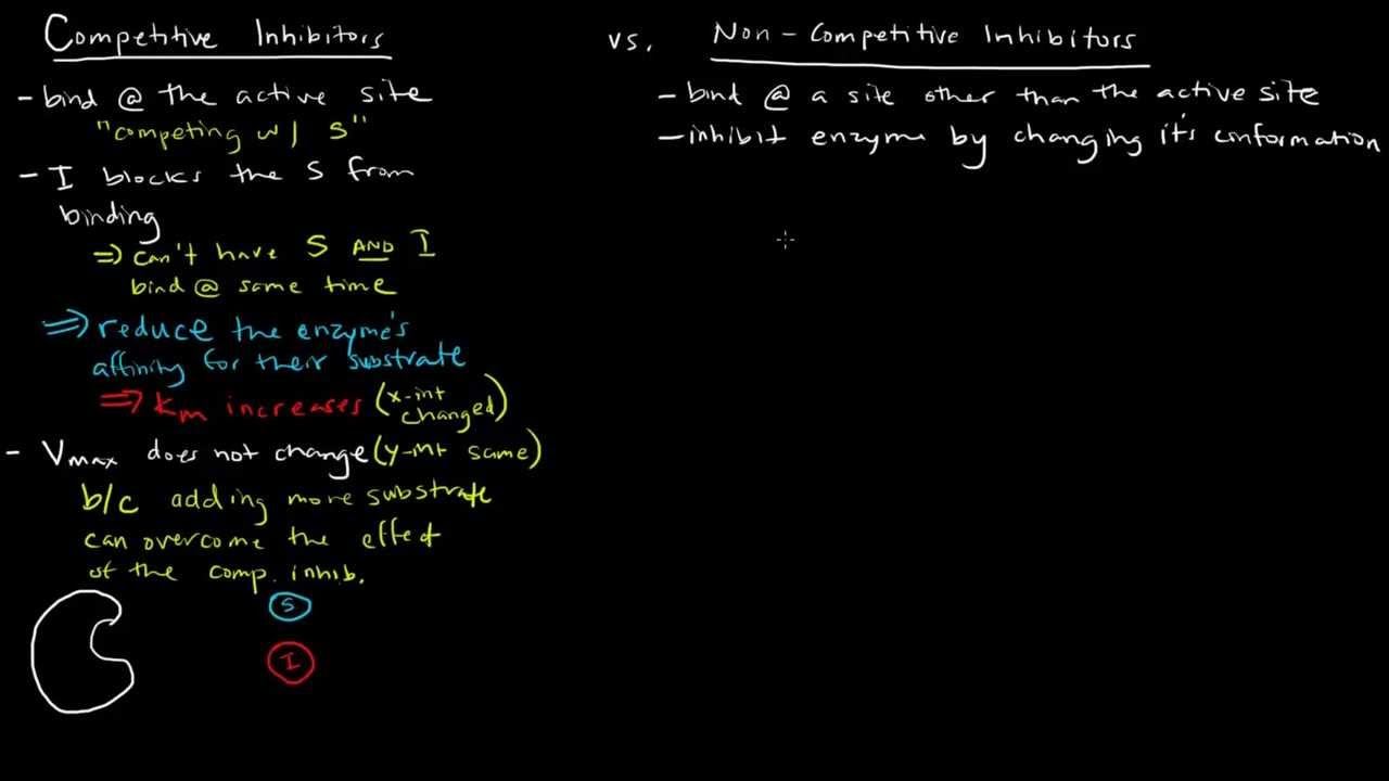 Enzymes (Part 4 of 5) - Competitive and Noncompetitive Inhibitors смотреть онлайн