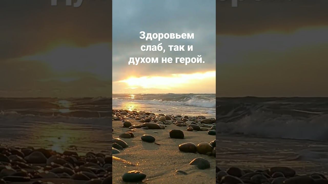 ПОСЛОВИЦЫ О ЗДОРОВЬЕ смотреть онлайн