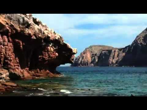 Tesoros del Golfo de California Episodio 2 смотреть онлайн