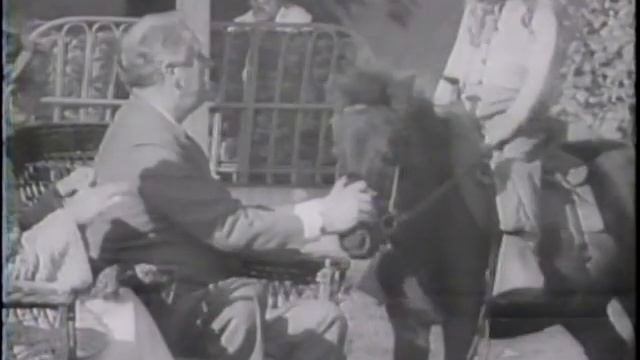Allies Overrrun Germany (1945) смотреть онлайн