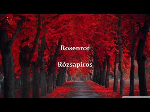 FAUN - Rosenrot (Hun/German) смотреть онлайн