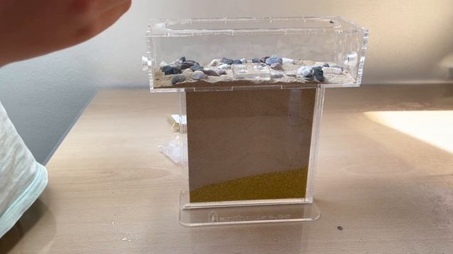 Муравьиная ферма 🐜 смотреть онлайн