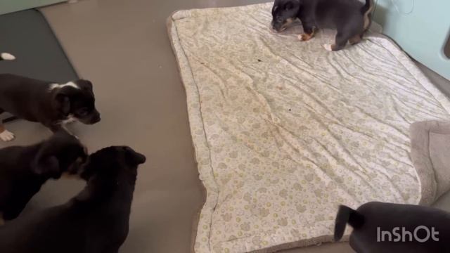 В поисках линолеума 🤓С мужем в магазине 🧐Вот что купили 🤨 смотреть онлайн