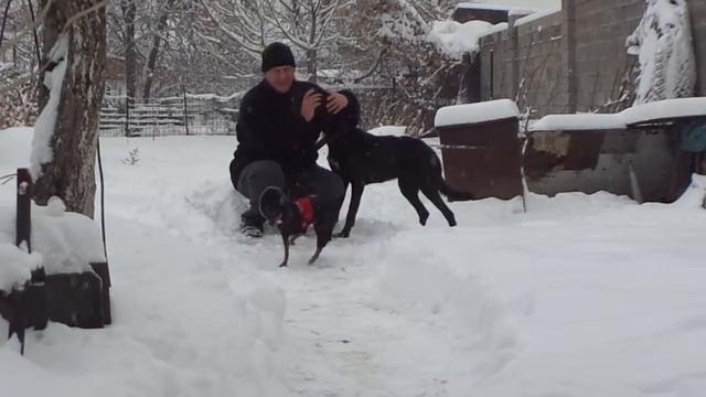 28 01 2014 год рич доба турик и я смотреть онлайн