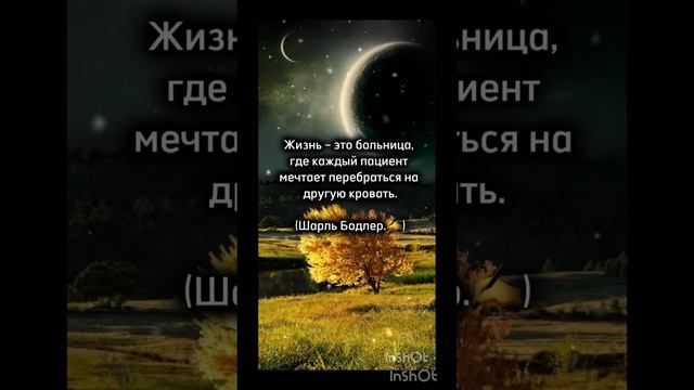 #Мудрые Слова!со смыслом ✍️ смотреть онлайн