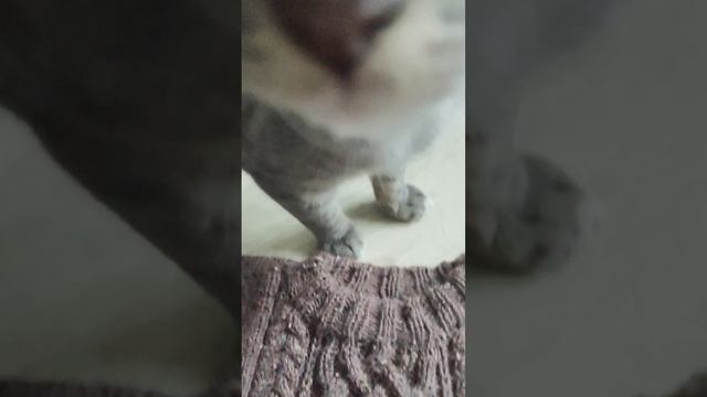 Джемпер для сына готов! Осталось постирать❤ смотреть онлайн