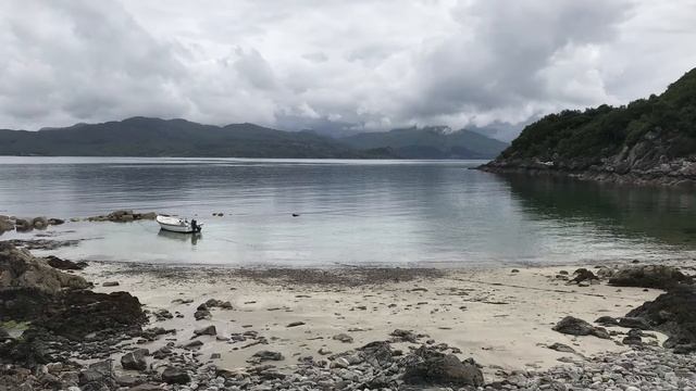 View from the Studio 2020 смотреть онлайн