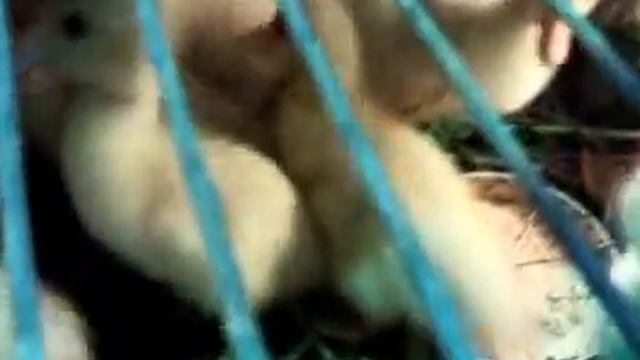Утята смотреть онлайн