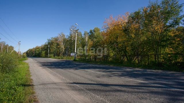 видео5 смотреть онлайн