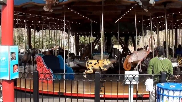 Carousel/Zoological Park. Карусель в Зоопарке. смотреть онлайн