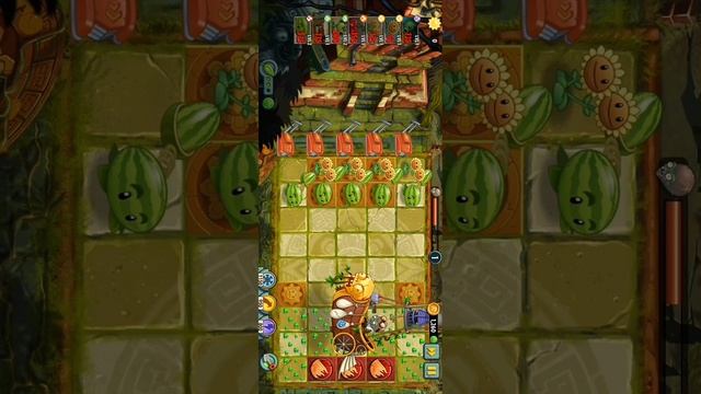 SVID_20241130_214745_1.mp4