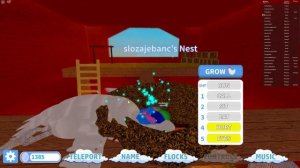 РОБЛОКС -  АЛЬБАТРОС  Семья Птиц  - ROBLOX Feather Family (Симулятор Птиц) Albatross