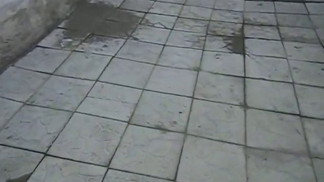 п-к Роман-Кош..Дети Роман-Кош Баттерфляй РК Ореанда, Октава 2,5 м. РК Моррис сын РК Венеции 10 м. смотреть онлайн