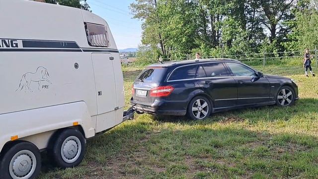 ЛОШАДИ КАК ЛЮДИ ПЛАЧУТ И СМЕЮТСЯ, КАПРИЗНИЧАЮТ И СОСТЯЗАЮТСЯ, РЕВНУЮТ И ЛЮБЯТ - КОННЫЙ ФЕСТИВАЛЬ смотреть онлайн
