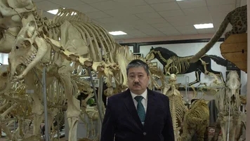 Сердце - 1-я часть 2024