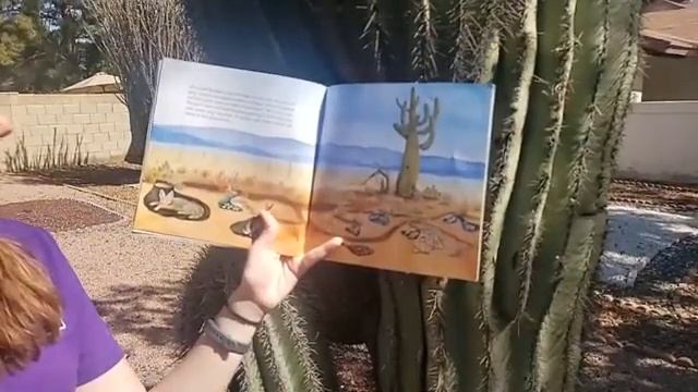 Early Learner Activity: Reading the book ‘Cactus Hotel” followed by our Cactus Adaptation activity. смотреть онлайн