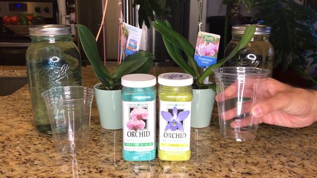Urea vs. Urea Free Experiment: Semi-Hydroponics (Part One) смотреть онлайн