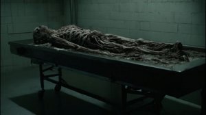 SCP-022 — Морг. История обнаружения объекта. [Данные открыты]