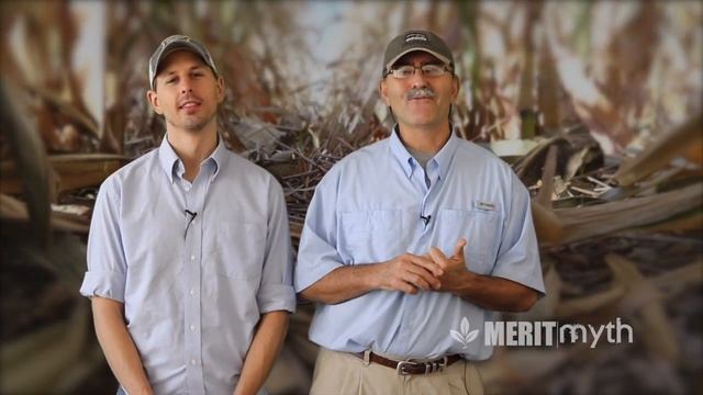 Soil Microbes Consuming Residue – Al Miron смотреть онлайн