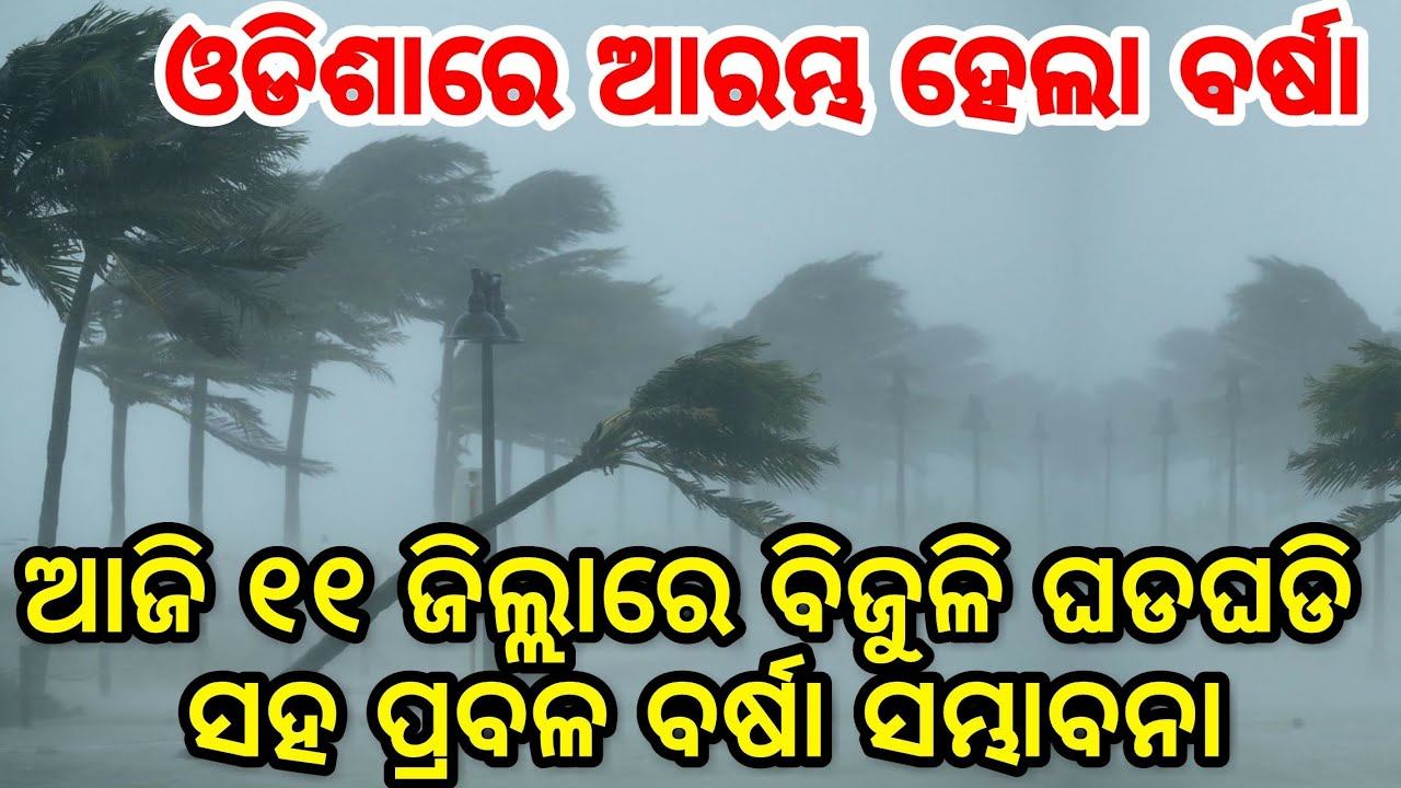 Heavy rain with thunderstorm weather forecast for today in 11districts odisha, Rain already started смотреть онлайн
