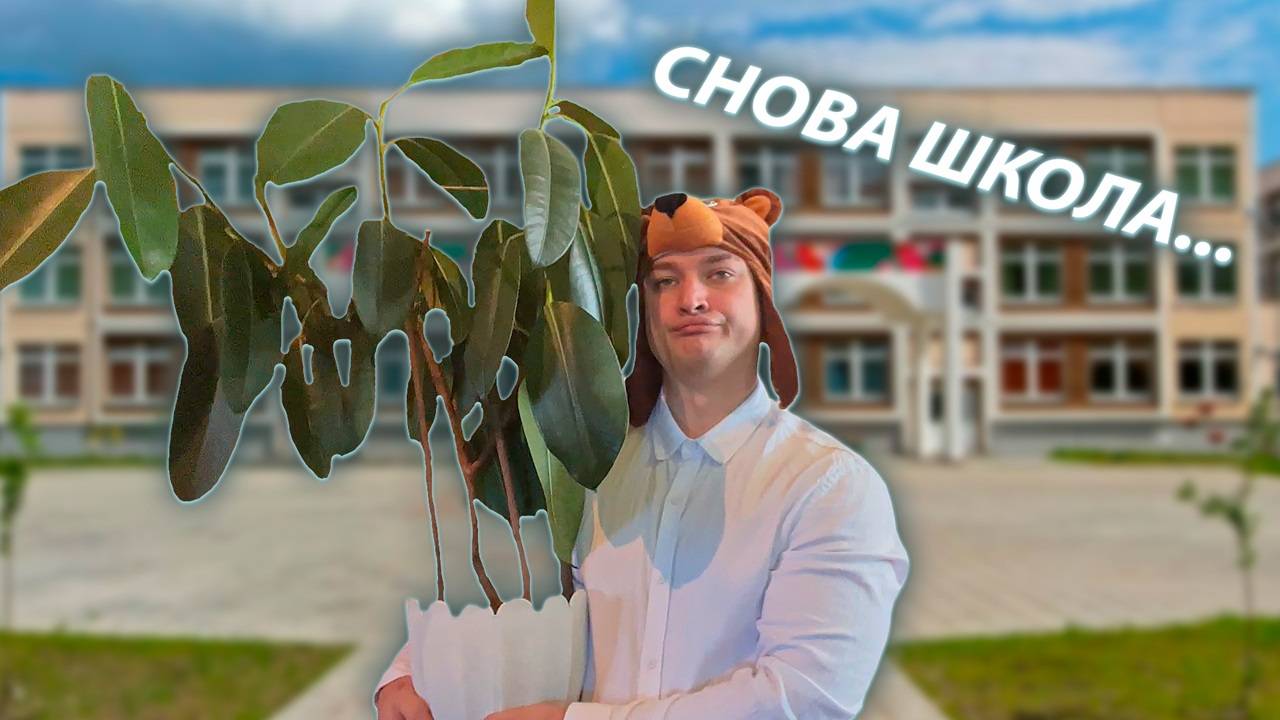 СЕРИАЛ "ВЕСЁЛАЯ СЕМЕЙКА" / 2 СЕЗОН / 62 СЕРИЯ / ЛИНЕЙКА / GREY SHIP смотреть онлайн