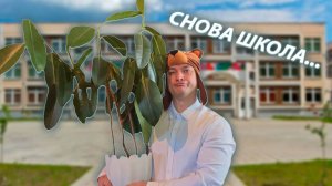 СЕРИАЛ "ВЕСЁЛАЯ СЕМЕЙКА" / 2 СЕЗОН / 62 СЕРИЯ / ЛИНЕЙКА / GREY SHIP