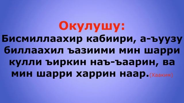 ГРИП болгондо окулуучу дуба... смотреть онлайн