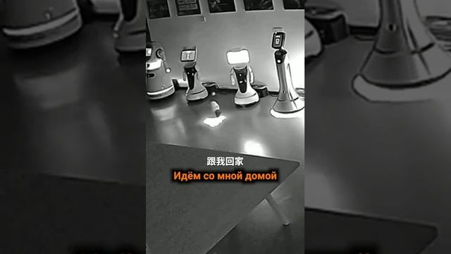 В Китае  маленький робот увёл собратьев.
