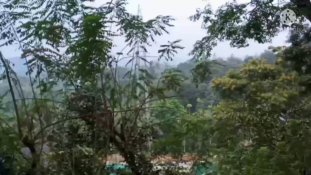 wayanad kalpatta bypass 92 cent land per cent 2 lak..9074140142 смотреть онлайн
