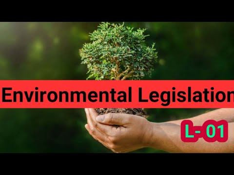 Environmental Legislation In India | Environment Laws In India I Part 01
