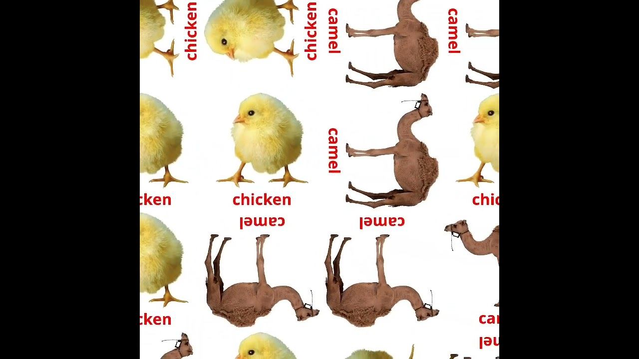 ANIMALS WITH NAME'S смотреть онлайн