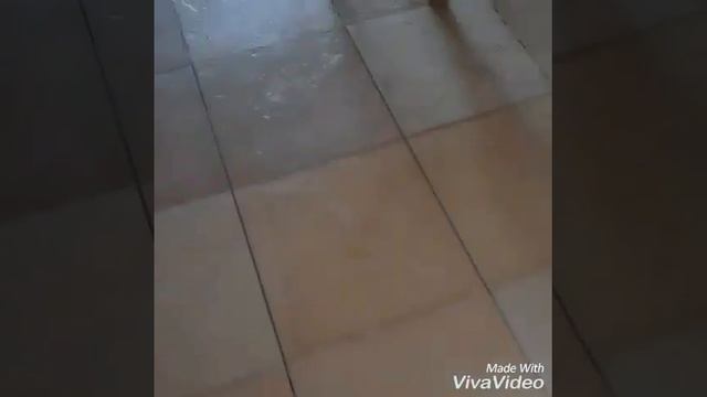 Video detente :entretien de mon jardin смотреть онлайн