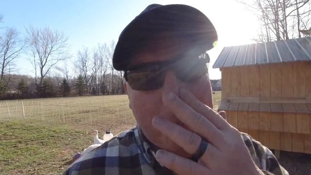 The Best Fencing System For Small Homesteads! Watch This Before You Build! смотреть онлайн