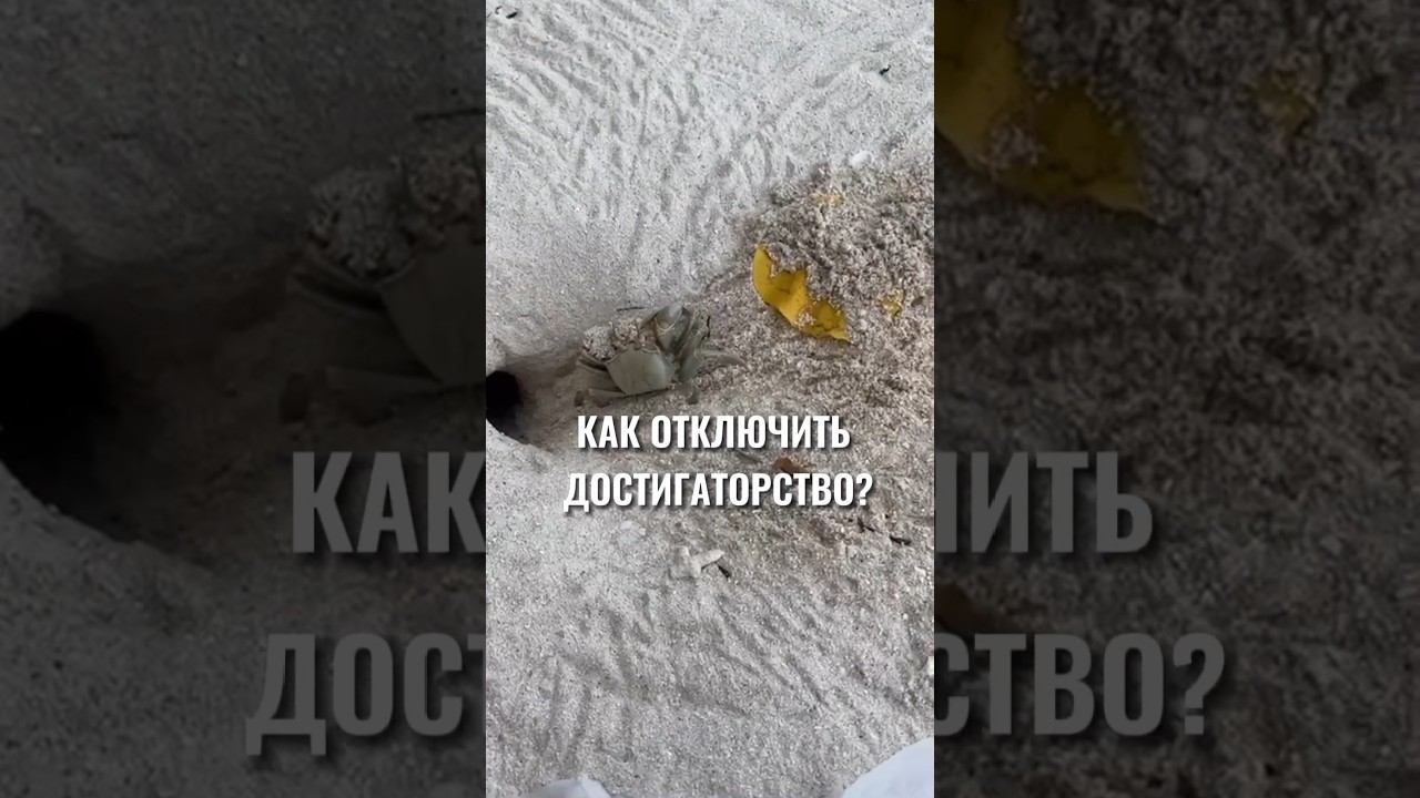 30 декабря 2023 г. смотреть онлайн
